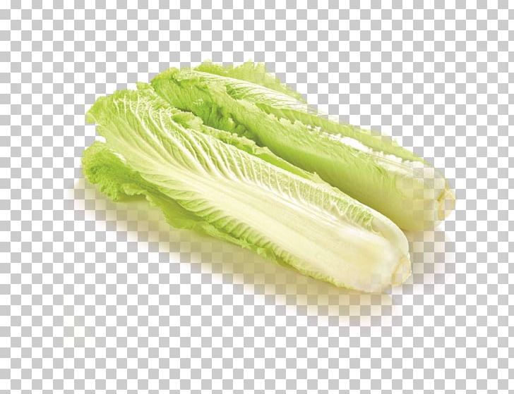 Red Cabbage Organic Food Chinese Cabbage Napa Cabbage PNG, Clipart, Baby, Baby Food, Cabbage, Chinese, Creative Ads Free PNG Download