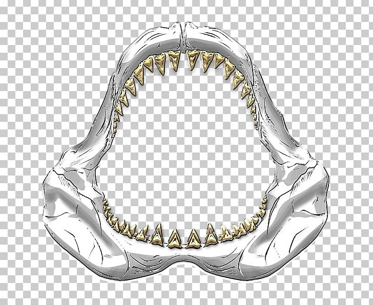 Shark Jaws Great White Shark Hungry Shark Evolution Tooth PNG, Clipart, Animals, Drawing, Evolution, Great White, Great White Shark Free PNG Download
