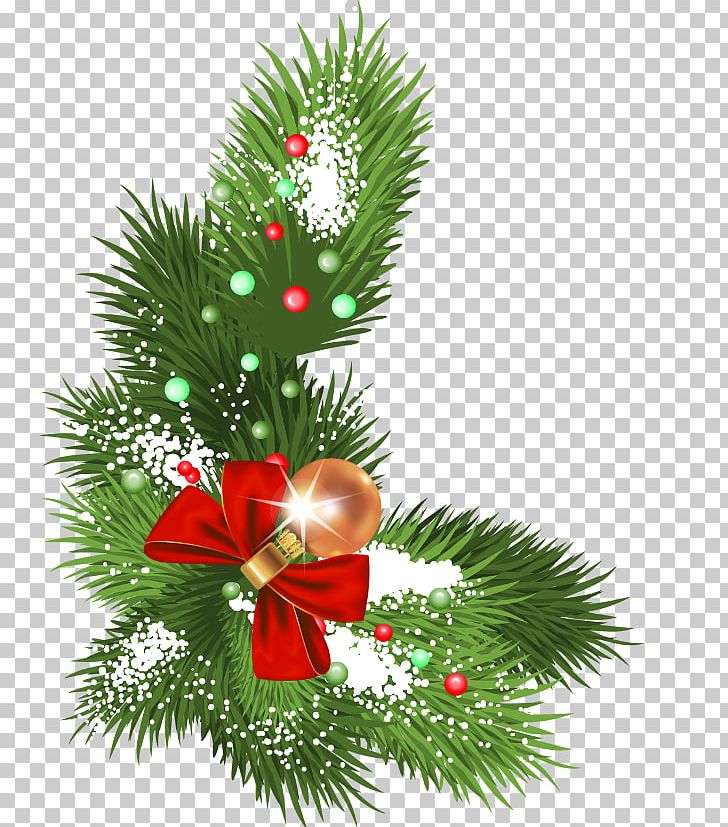 Christmas Carol Photography PNG, Clipart, Branch, Christmas Carol, Christmas Decoration, Christmas Ornament, Decor Free PNG Download