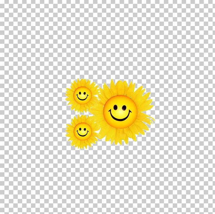 Common Sunflower Smiley Yellow Pattern PNG, Clipart, Computer, Computer Wallpaper, Flower, Flowering, Flowers Free PNG Download