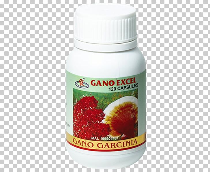 Garcinia Cambogia Dietary Supplement Weight Loss Lingzhi Mushroom PNG, Clipart, Diet, Dietary Supplement, Dieting, Food, Fruit Free PNG Download