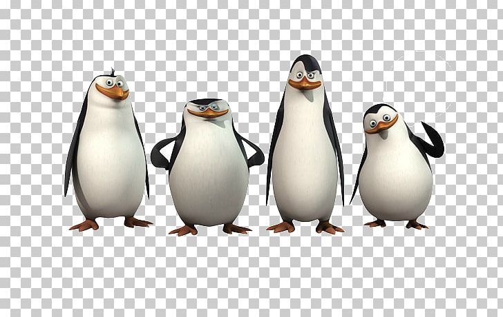 Kowalski Skipper Madagascar DreamWorks Animation PNG, Clipart, Animation, Bird, Cartoon, Dreamworks Animation, Flightless Bird Free PNG Download