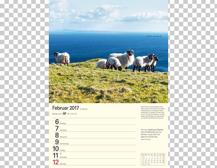 Water Resources Ecoregion Advertising Grassland Calendar PNG, Clipart, Advertising, Calendar, Ecoregion, Ecosystem, Grass Free PNG Download