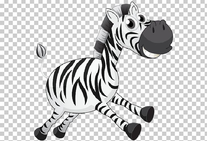 Zebra Quagga PNG, Clipart, Animal Figure, Animals, Black And White, Carnivoran, Cartoon Free PNG Download