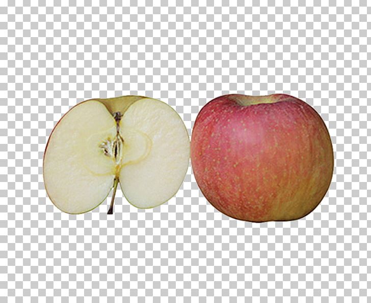 Apple Auglis PNG, Clipart, Apple, Apple Fruit, Apple Logo, Apple Tree, Auglis Free PNG Download