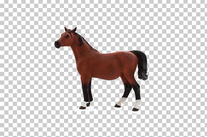 Arabian Horse American Paint Horse Foal Mare Hanoverian Horse PNG, Clipart, Animal Figure, Arabian Horse, Barcode, Bay, Bridle Free PNG Download