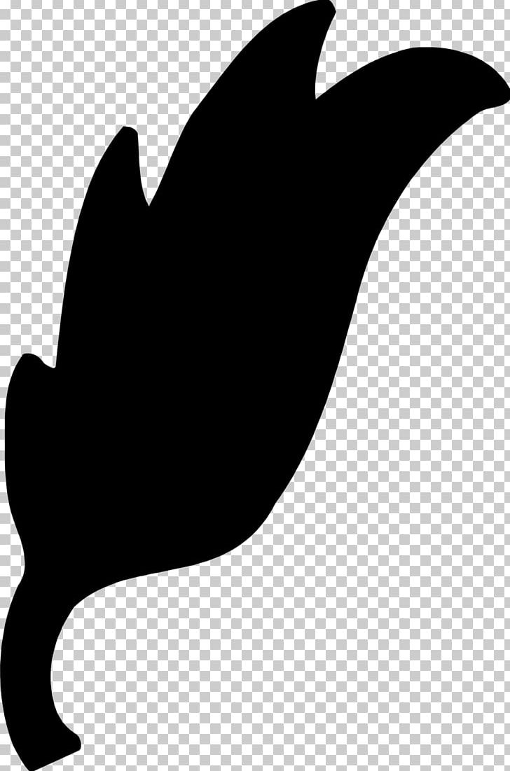 Silhouette Flower PNG, Clipart, Animals, Art, Beak, Black And White, Download Free PNG Download
