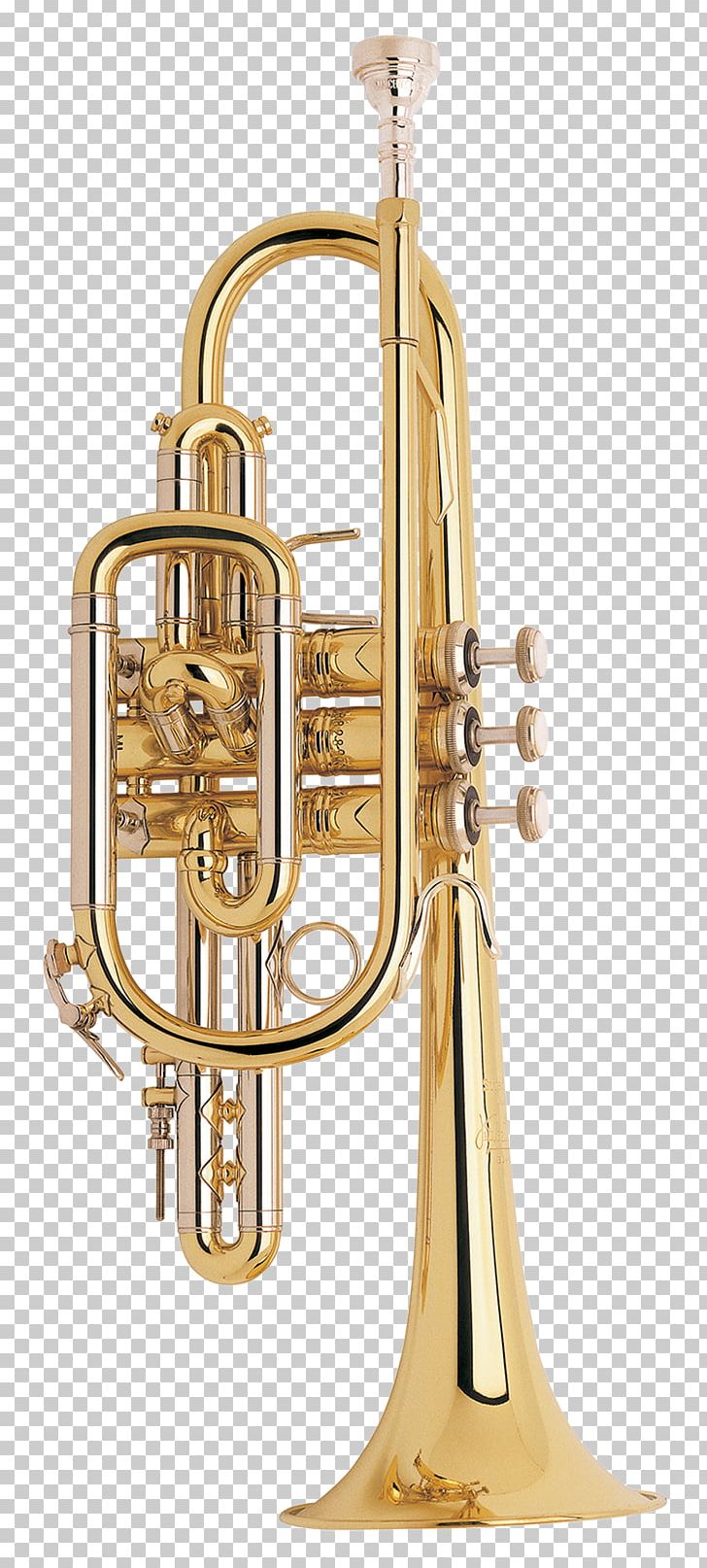 Cornet Trumpet Flugelhorn Vincent Bach Corporation Conn-Selmer PNG, Clipart, Alto Horn, Bach, Brass, Brass Instrument, Bugle Free PNG Download