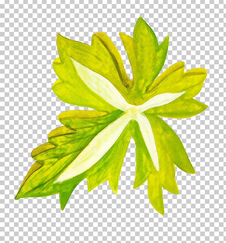 Leaf Watercolor Painting Google S Icon PNG, Clipart, Autumn Leaves, Banana Leaves, Blade, Download, Euclidean Vector Free PNG Download