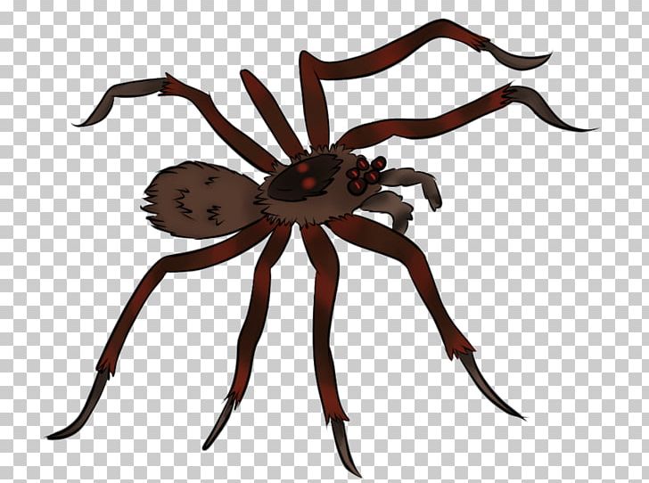 Spider Animation PNG, Clipart, Animal Figure, Animated, Animated Pictures Of Spiders, Animation, Arachnid Free PNG Download