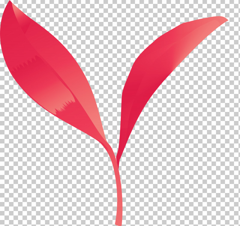 Tea Leaves Leaf Spring PNG, Clipart, Anthurium, Flower, Leaf, Magenta, Petal Free PNG Download