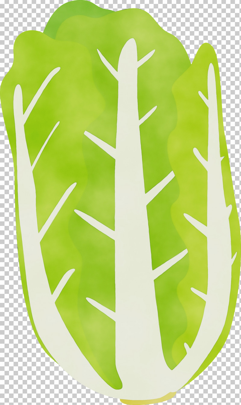 Green Yellow Leaf PNG, Clipart, Green, Leaf, Nappa Cabbage, Paint, Watercolor Free PNG Download