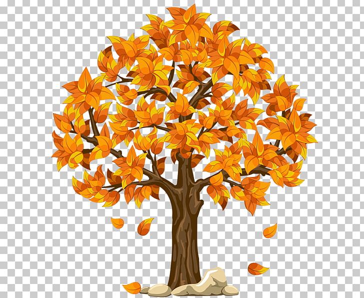 Autumn Tree PNG, Clipart, Autumn, Autumn Leaf Color, Branch, Cut Flowers, Flower Free PNG Download