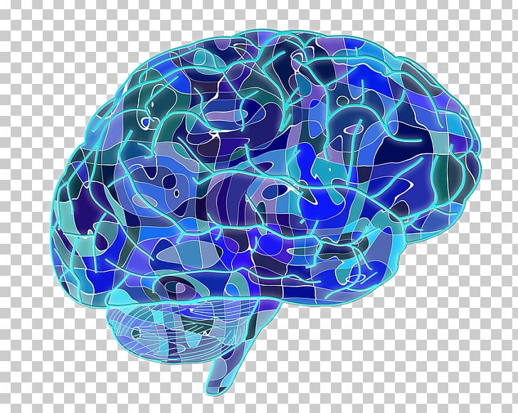 Blue Brain Project Cognitive Training Neuron Neuroscience PNG, Clipart, Artificial Neural Network, Blue, Blue Brain Project, Brain, Cell Free PNG Download
