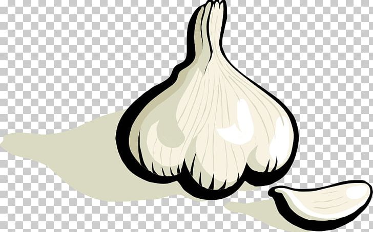 Garlic Bread Spice PNG, Clipart, Bird, Clove, Drawing, Duck, Ducks Geese And Swans Free PNG Download
