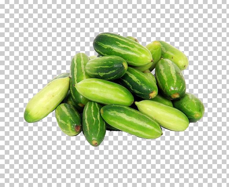 Ivy Gourd Vegetable Pickled Cucumber Food PNG, Clipart, Coccinia, Cucumber, Cucumber Gourd And Melon Family, Cucumis, Food Free PNG Download