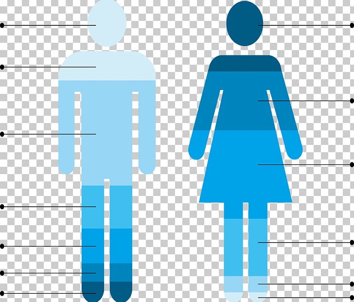 Public Toilet Female Bathroom PNG, Clipart, Area, Blue, Business Card, Business Man, Business Vector Free PNG Download