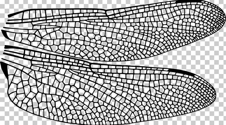 T-shirt Beetle Dragonfly Insect Wing Libellula PNG, Clipart, Angle, Aquatic Insect, Area, Beetle, Black And White Free PNG Download