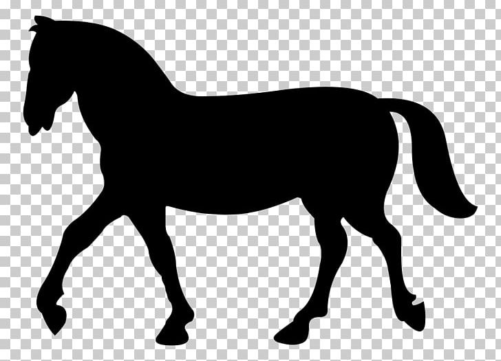 Horse Rearing Stallion PNG, Clipart, Animals, Black And White, Bridle, Collection, Colt Free PNG Download