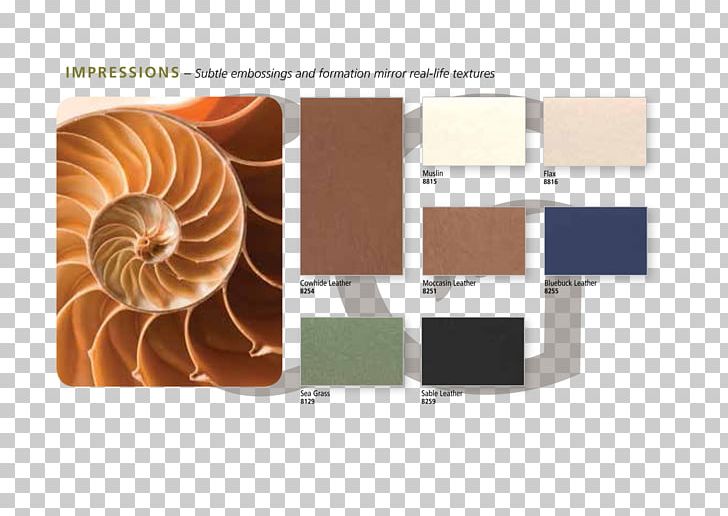 Painting Frames Art Film Frame Panorama PNG, Clipart, Art, Art Museum, Brand, Discounts And Allowances, Film Frame Free PNG Download