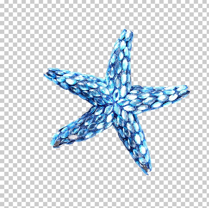 Starfish Blue Drawing PNG, Clipart, Animals, Aqua, Beautiful Starfish, Blue, Cartoon Free PNG Download