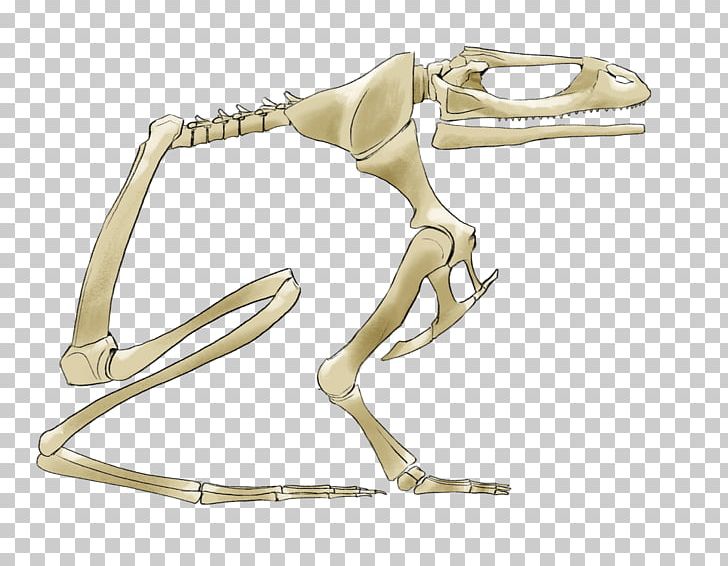 Product Design Finger Skeleton PNG, Clipart, Arm, Finger, Hand, Jaw, Joint Free PNG Download