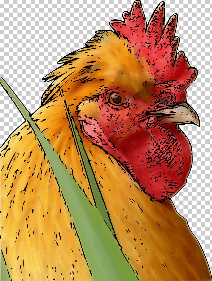 Rooster Chicken Poultry Farming Bird Phasianidae PNG, Clipart, Animals, Beak, Bird, Chicken, Chinese Zodiac Free PNG Download