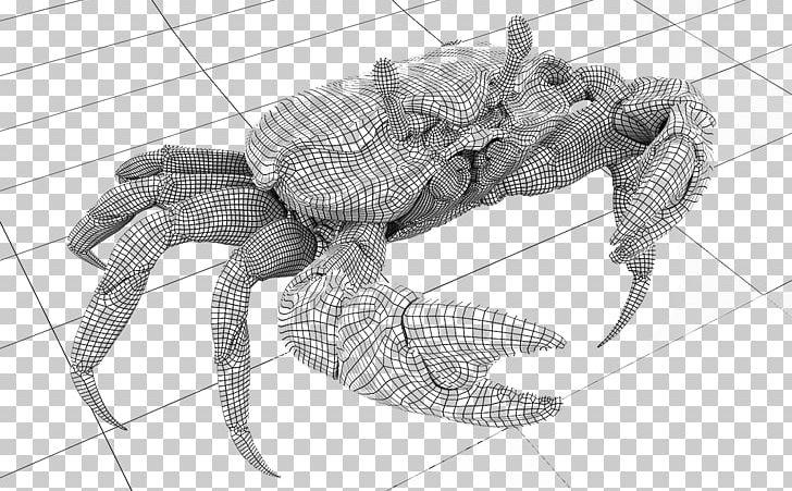 Crab Decapoda Drawing PNG, Clipart, Animals, Black And White, Cangrejo, Closeup, Crab Free PNG Download