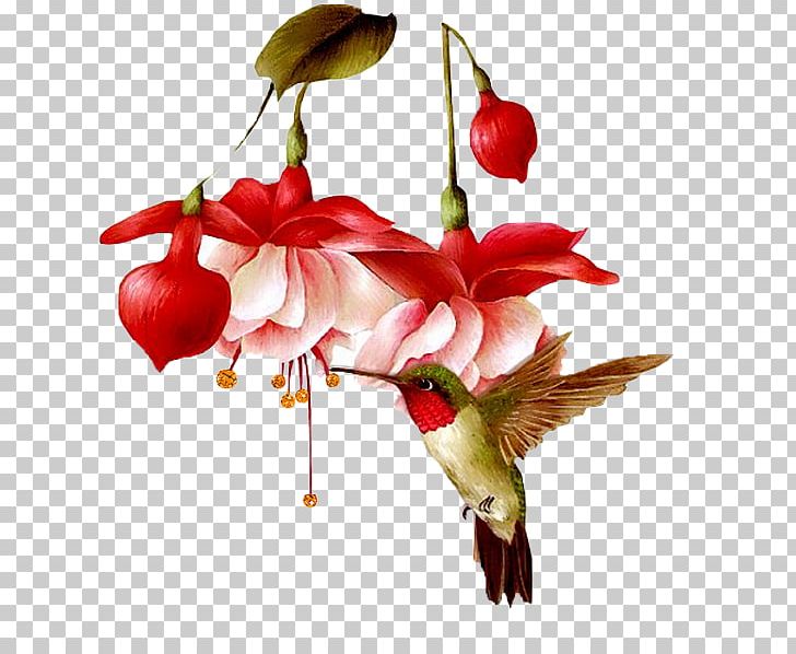 Birthday Flower Painting PNG, Clipart, Art, Artificial Flower, Beak, Beija Dlor, Bird Free PNG Download