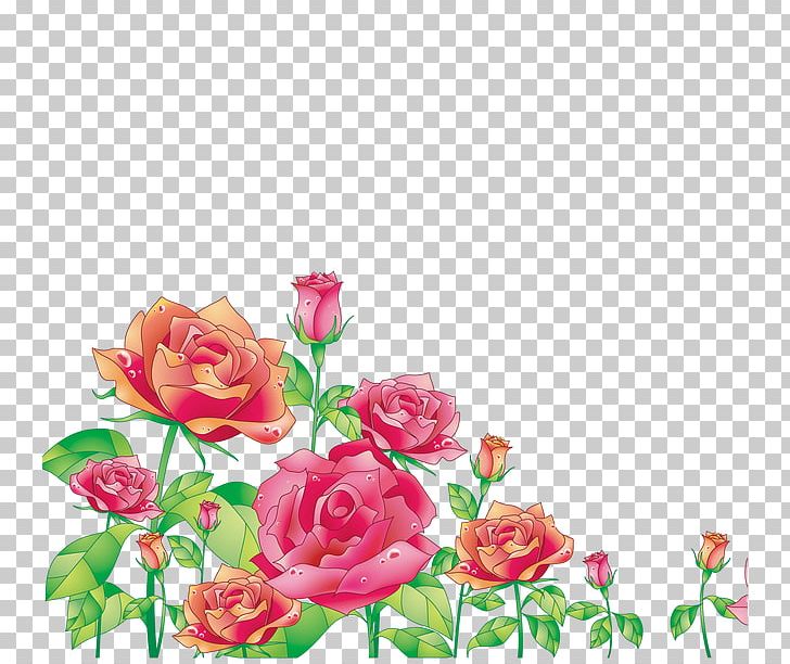 Centifolia Roses Photography PNG, Clipart, Artificial Flower, Centifolia Roses, Cut Flowers, Drawing, Element Free PNG Download
