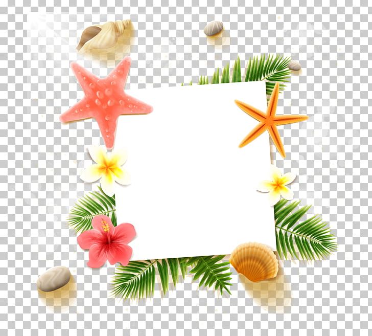 Cephalonia Beach PNG, Clipart, Border, Border Texture, Christmas Decoration, Christmas Ornament, Download Free PNG Download