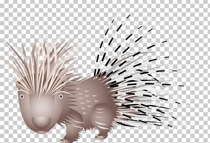 Domesticated Hedgehog Porcupine Disease Dog PNG, Clipart, Animal, Bone Fracture, Disease, Dog, Domesticated Hedgehog Free PNG Download