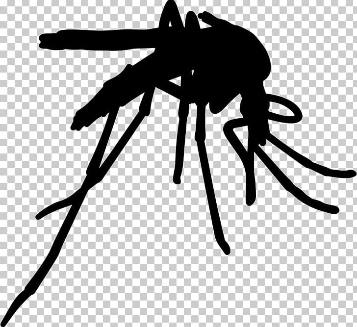 Insect Yellow Fever Mosquito Pest Control Zika Fever PNG, Clipart, Aedes, Aedes Africanus, Animal, Animals, Arthropod Free PNG Download