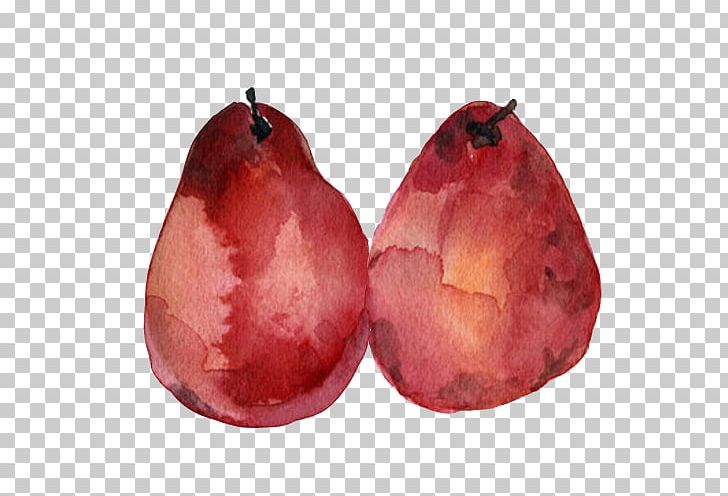 Pear Watercolor Painting Fruit PNG, Clipart, Apple, Auglis, Burgundy, Color, Drawing Free PNG Download