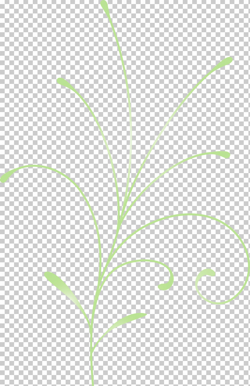 Leaf Grass Green Plant Grass Family PNG, Clipart, Easter Flower, Flower, Grass, Grass Family, Green Free PNG Download
