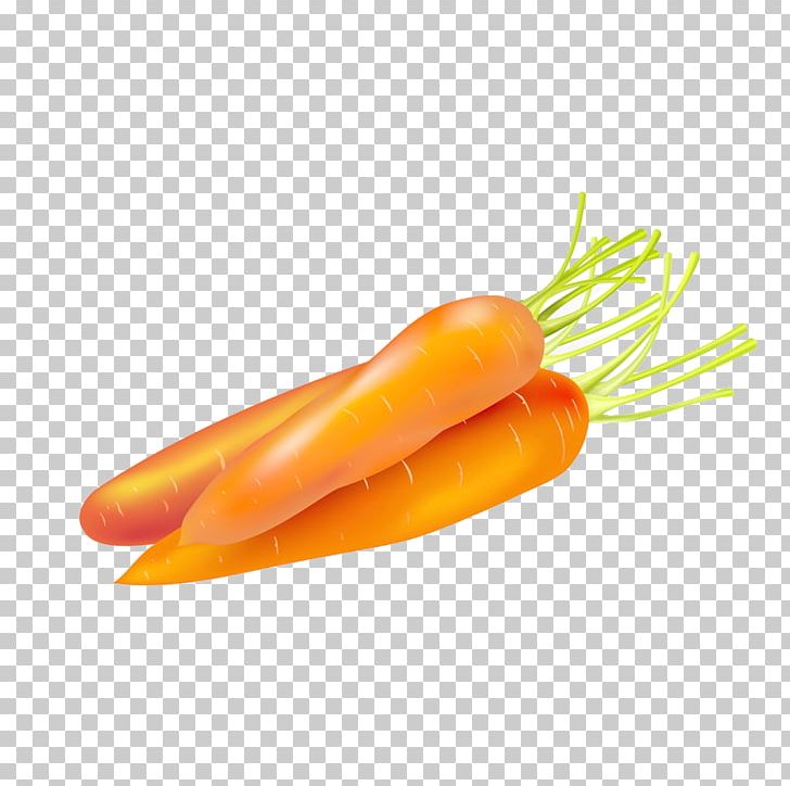 Carrot Cake Food Vegetable PNG, Clipart, Bockwurst, Bunch Of Carrots, Carrot, Carrot Cartoon, Carrot Juice Free PNG Download