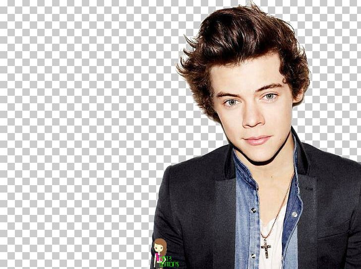 Harry Styles 2013 Brit Awards The X Factor One Direction Photo Shoot PNG, Clipart, 2013 Brit Awards, Actor, Brit Awards, Celebrity, Desktop Wallpaper Free PNG Download