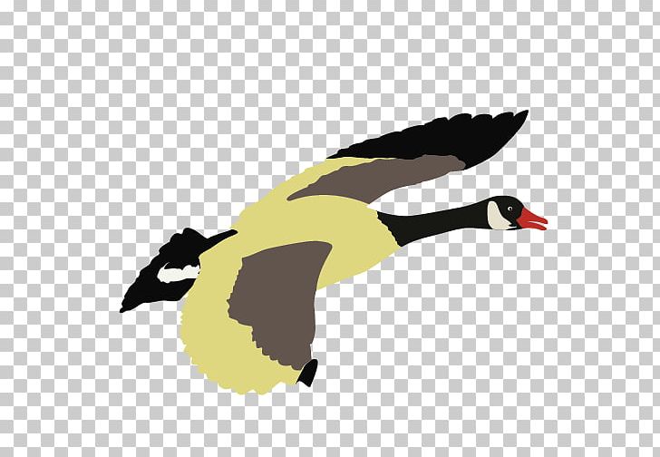 Duck Goose Beak PNG, Clipart, Animals, Beak, Bird, Duck, Ducks Geese And Swans Free PNG Download