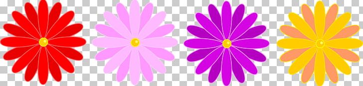 Flower Common Daisy PNG, Clipart, Common Daisy, Computer Icons, Download, Flora, Floral Design Free PNG Download