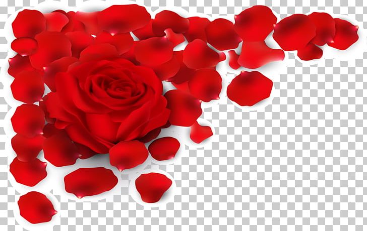 Rose Red Petal Illustration PNG, Clipart, Decorative, Decorative Pattern, Dig, Flower, Flowering Plant Free PNG Download