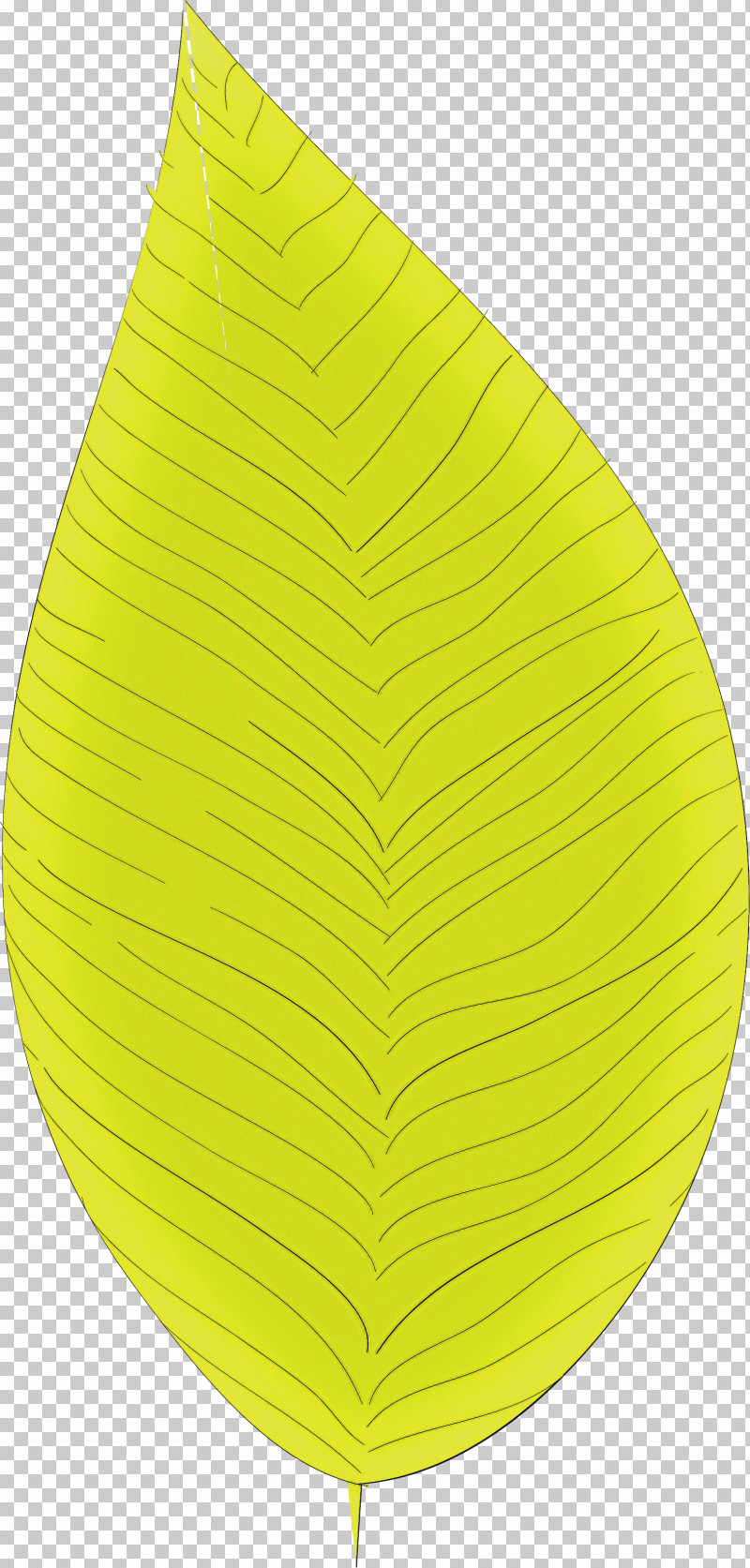 Simple Leaf Simple Leaf Drawing Simple Leaf Outline PNG, Clipart, Biology, Leaf, Plants, Plant Structure, Science Free PNG Download