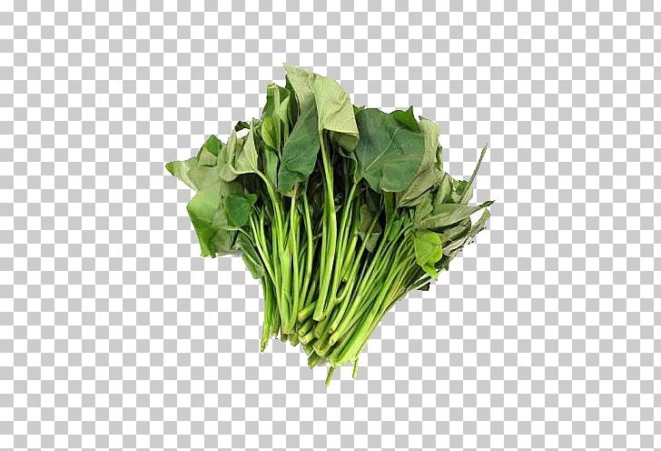 Fried Sweet Potato Potato Leaf Vegetable PNG, Clipart, Banana Leaves, Choy Sum, Collard Greens, Eating, Edible Free PNG Download