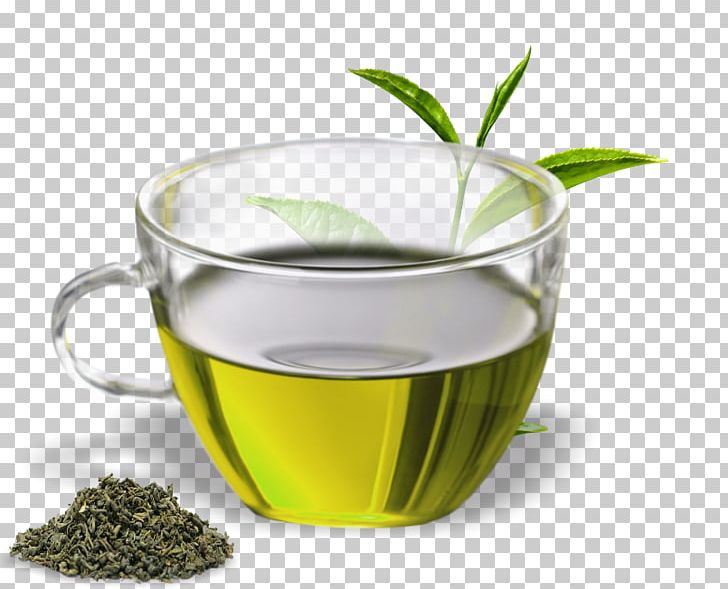 Green Tea Assam Tea Oolong Herbal Tea PNG, Clipart, Assam Tea, Black Tea, Chinese Herb Tea, Coffee Cup, Cup Free PNG Download