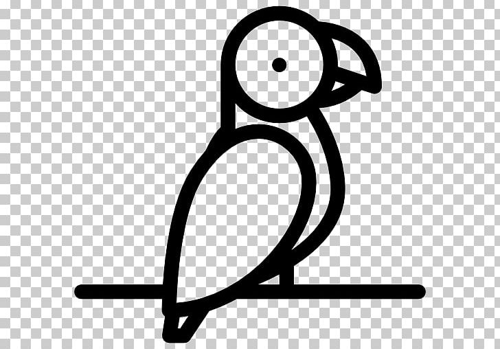 Pet Computer Icons Cat Parrot PNG, Clipart, Animal, Animals, Area, Artwork, Beak Free PNG Download