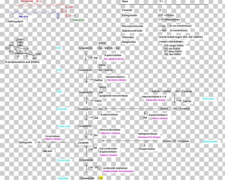 Screenshot Lipid Storage Disorder Computer Program Line PNG, Clipart, Area, Brand, Computer, Computer Program, Diagram Free PNG Download