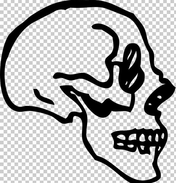 Skull Human Skeleton Drawing PNG, Clipart, Artwork, Black, Black And White, Bone, Cartoon Free PNG Download