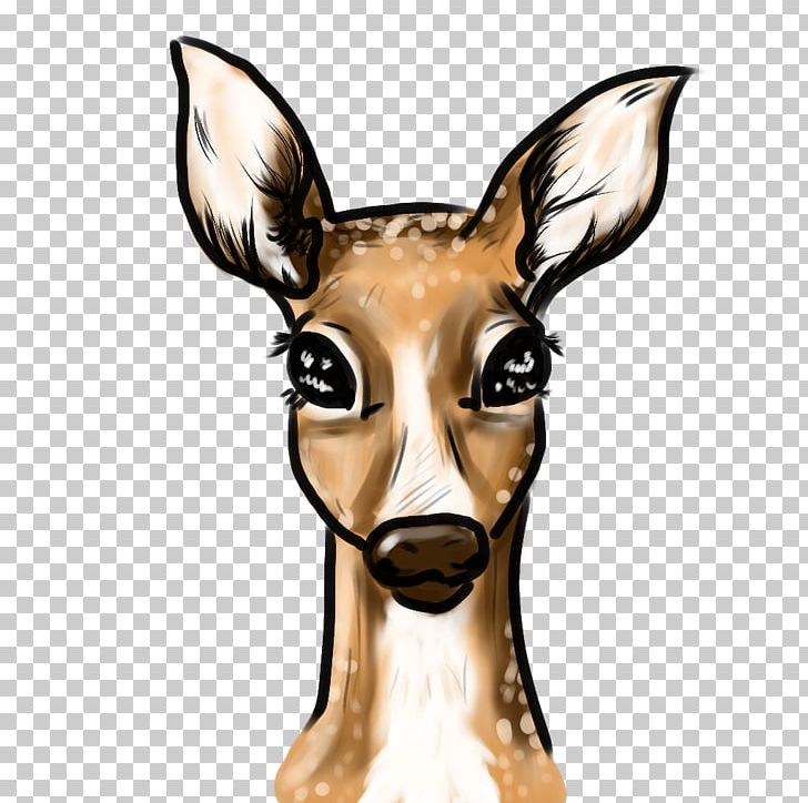 Deer Antelope Macropodidae Animal Giraffidae PNG, Clipart, Animal, Animals, Antelope, Deer, Fauna Free PNG Download