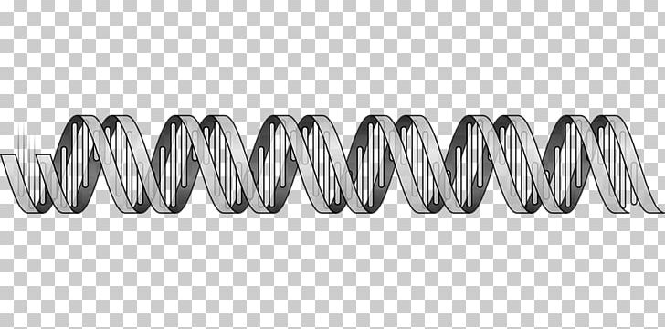 Nucleic Acid Double Helix DNA Nucleic Acid Sequence Biology PNG, Clipart, Angle, Black And White, Body Jewelry, Cell, Cytosine Free PNG Download