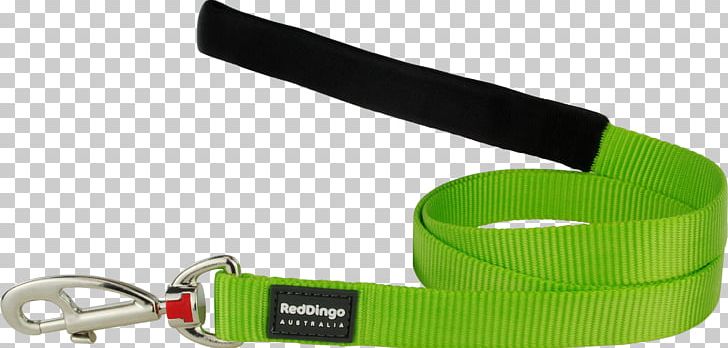 Leash Dog Collar Cat Dingo PNG, Clipart, Animals, Cat, Collar, Dingo, Dog Free PNG Download