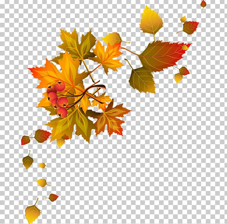 Paper Leaf PNG, Clipart, Autumn, Blog, Branch, Desktop Wallpaper, Download Free PNG Download